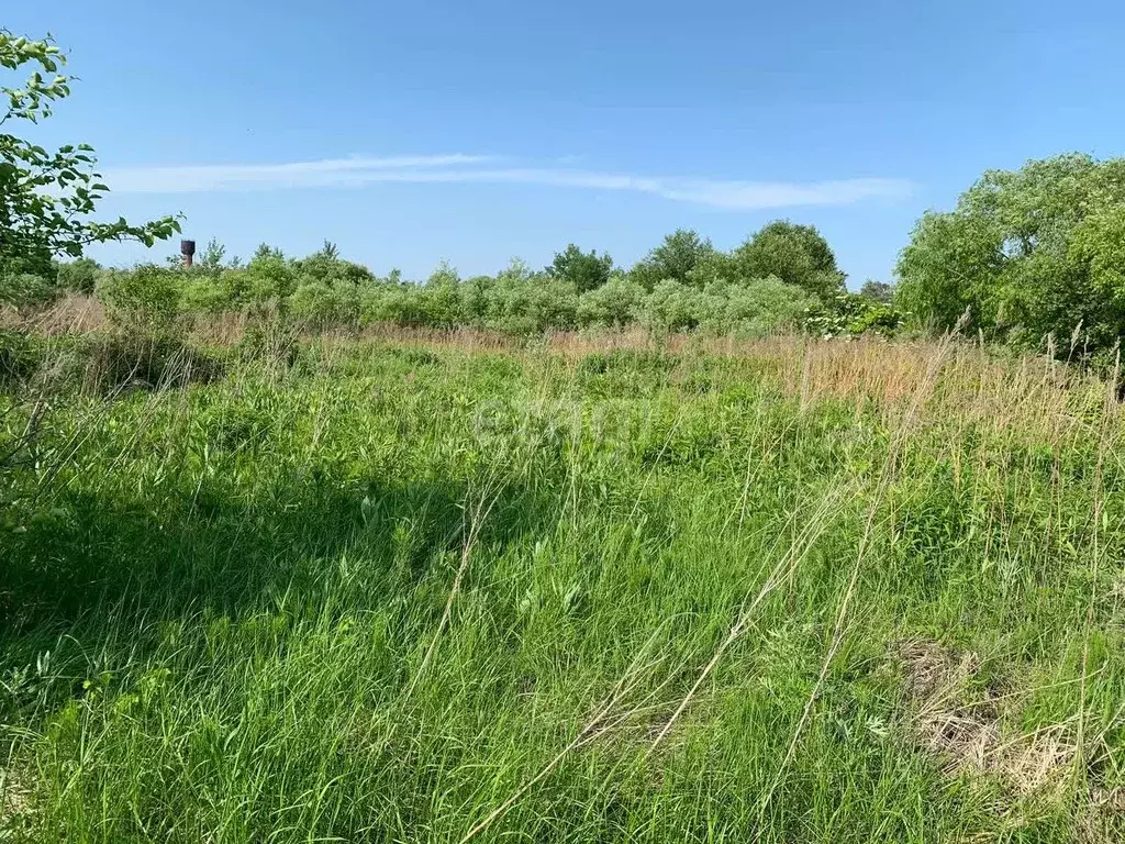Участок в Хабаровский край, Хабаровск Якорь СТ,  (8.7 сот.) - Фото 2