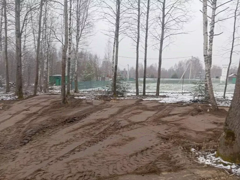 Участок в Московская область, Богородский городской округ, д. ... - Фото 1
