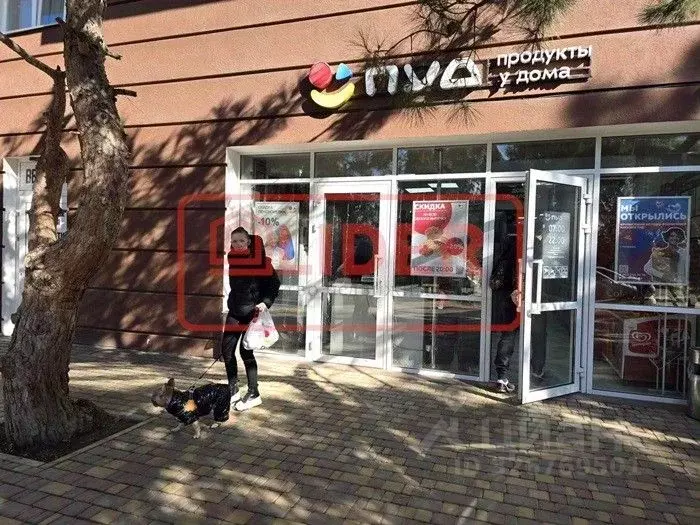 Торговая площадь в Севастополь ул. Вакуленчука, 28с1 (15 м) - Фото 2