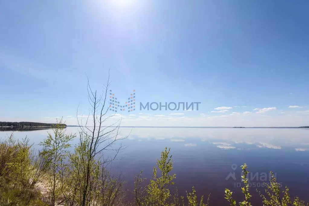 Участок в Нижегородская область, Сокольский городской округ, с. ... - Фото 0