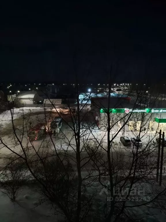 2-к кв. Нижегородская область, Бор ул. Тургенева, 107 (50.0 м) - Фото 1