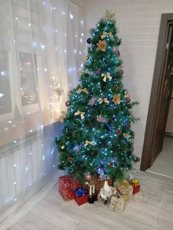 2-к кв. Мурманская область, Мурманск Октябрьская ул., 25 (45.0 м) - Фото 2