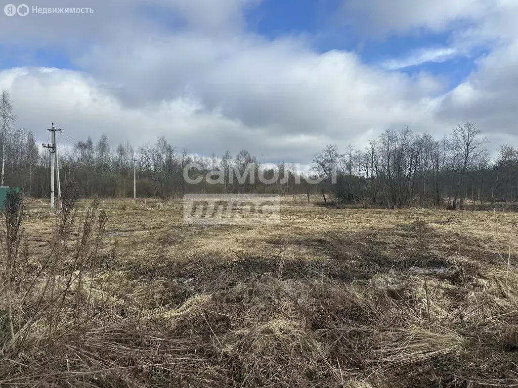 Участок в Московская область, городской округ Солнечногорск, посёлок ... - Фото 2