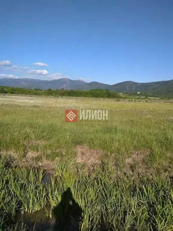 Участок в Севастополь с. Орлиное, ул. Рябиновая, 13 (190.0 сот.) - Фото 1