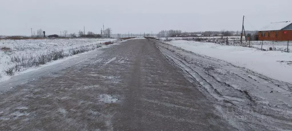 Дом в Тамбовская область, Рассказовский муниципальный округ, с. ... - Фото 1