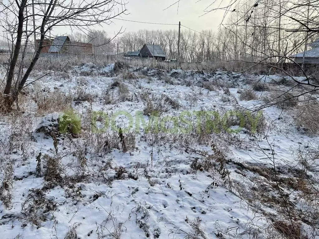 Участок в Новосибирская область, Новосибирский район, Морской ... - Фото 0