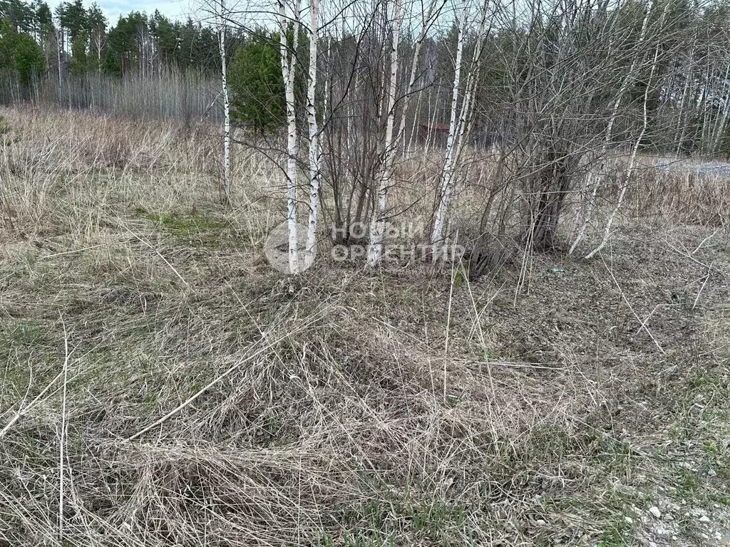 Участок в Свердловская область, Екатеринбург Патра ДСК, 64 (10.0 сот.) - Фото 1