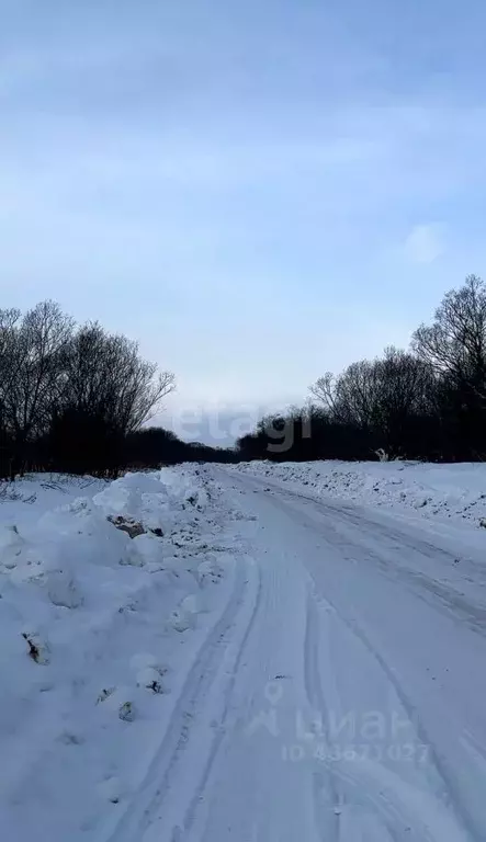 участок в сахалинская область, анивский городской округ, с. . - Фото 0