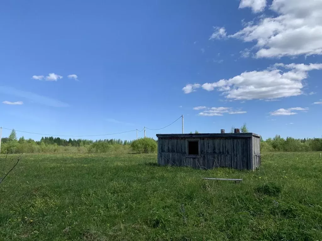 Участок в Новгородская область, Новгородский район, Савинское с/пос, ... - Фото 1