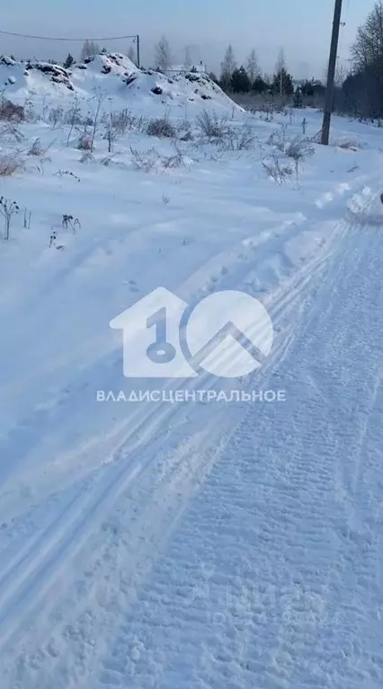 Участок в Новосибирская область, Новосибирский район, с. Верх-Тула ул. ... - Фото 0