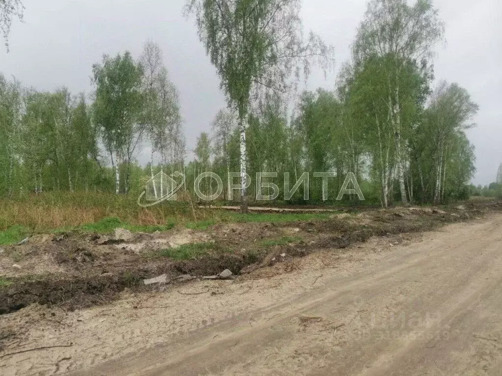 Участок в Тюменская область, Тюменский район Салаирский тракт, 14-й км ... - Фото 0