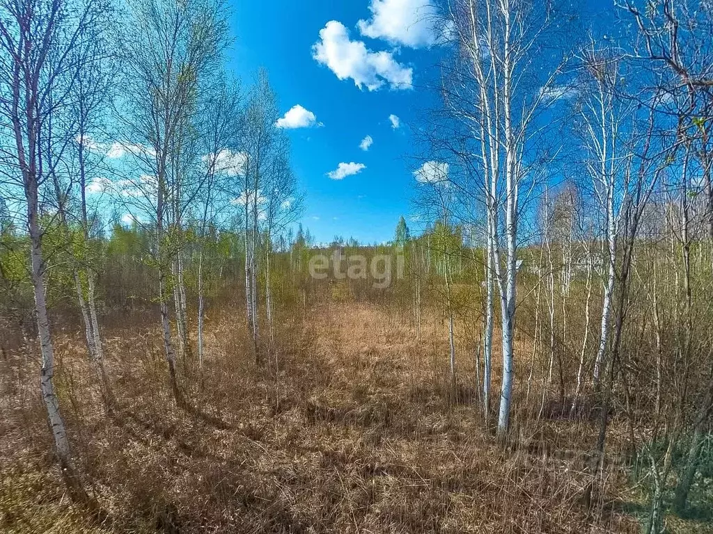Участок в Тюменская область, Нижнетавдинский район, Моторостроитель ... - Фото 0