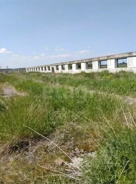 Склад в Красноярский край, Канский муниципальный округ, пос. Зеленый ... - Фото 1