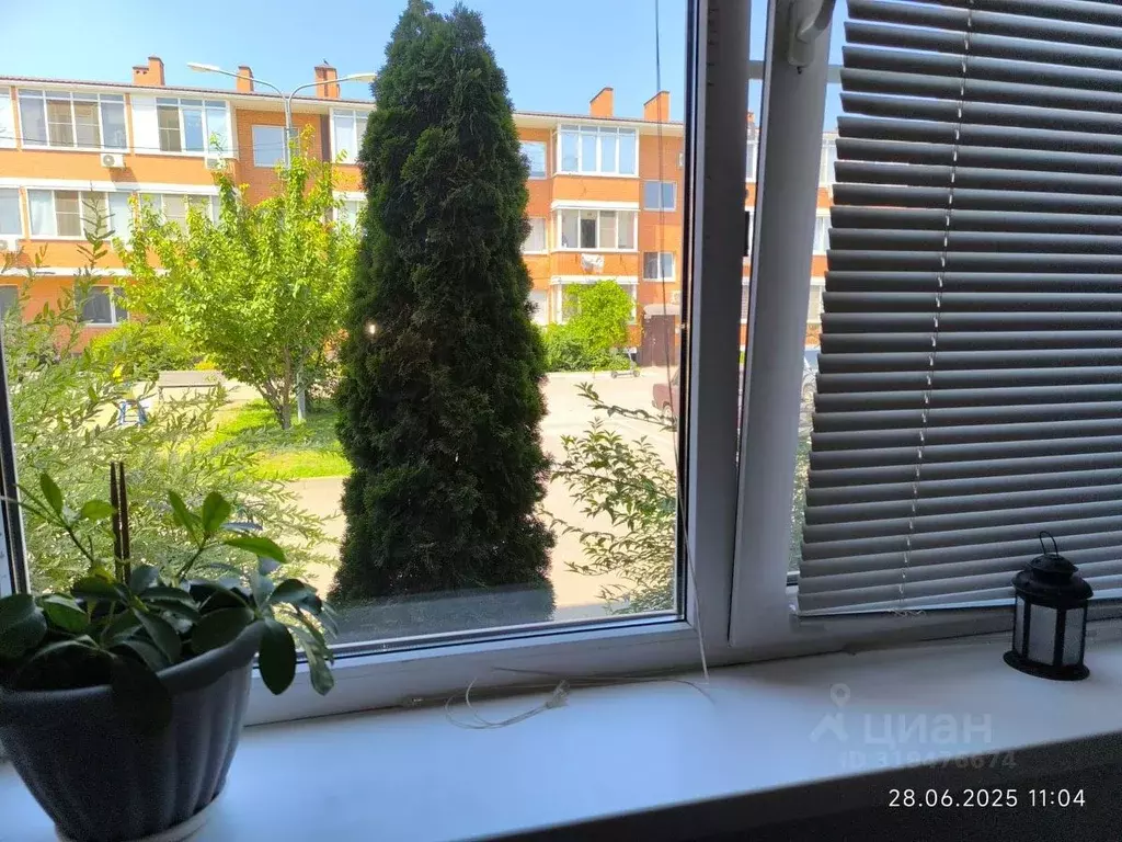 1-к кв. Краснодарский край, Краснодар ул. 1-я Ямальская, 5к3 (35.7 м) - Фото 1