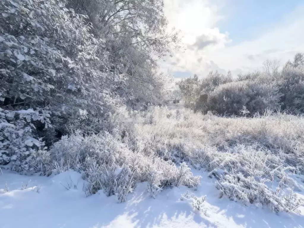 Участок в Ленинградская область, Киришский район, Глажевское с/пос, ... - Фото 1