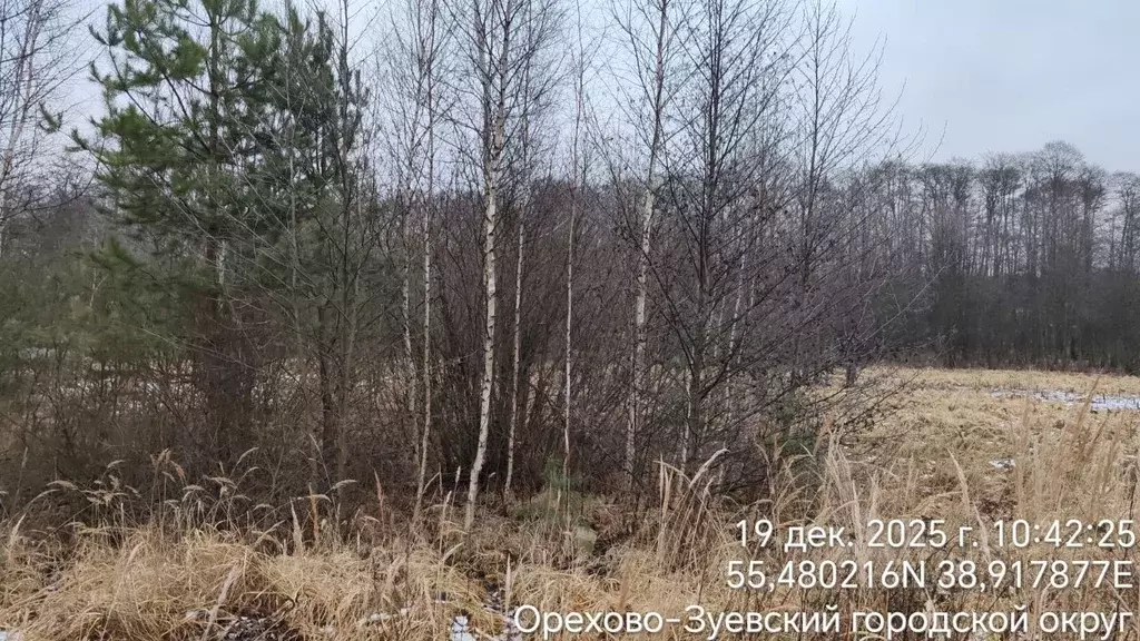 Участок в Московская область, Орехово-Зуевский городской округ, с. ... - Фото 1