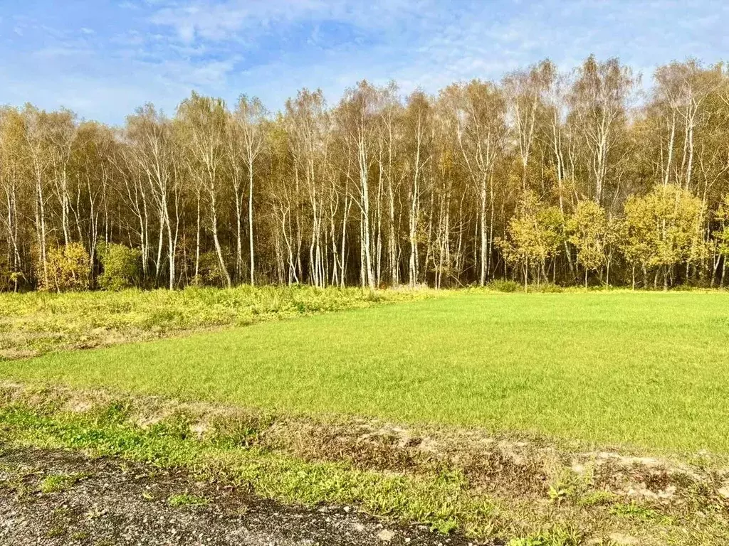 Участок в Московская область, Домодедово городской округ, д. Шишкино, ... - Фото 1