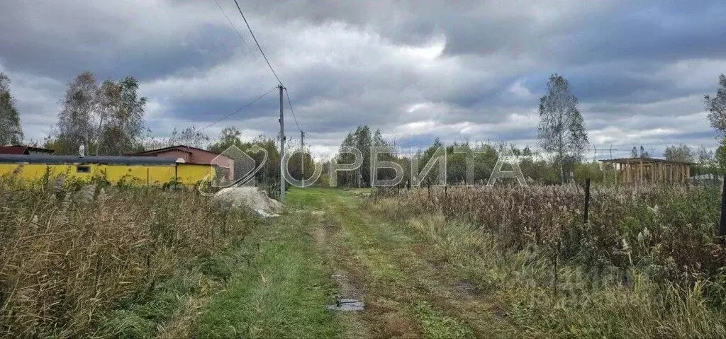 Участок в Тюменская область, Нижнетавдинский район, Сочинские СНТ  ... - Фото 0