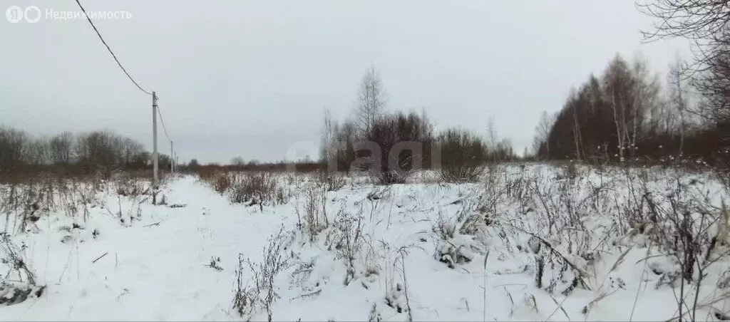 Участок в Костромской район, Бакшеевское сельское поселение, деревня ... - Фото 2