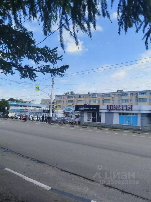 3-к кв. Тамбовская область, Тамбов Мичуринская ул., 141 (50.0 м) - Фото 1