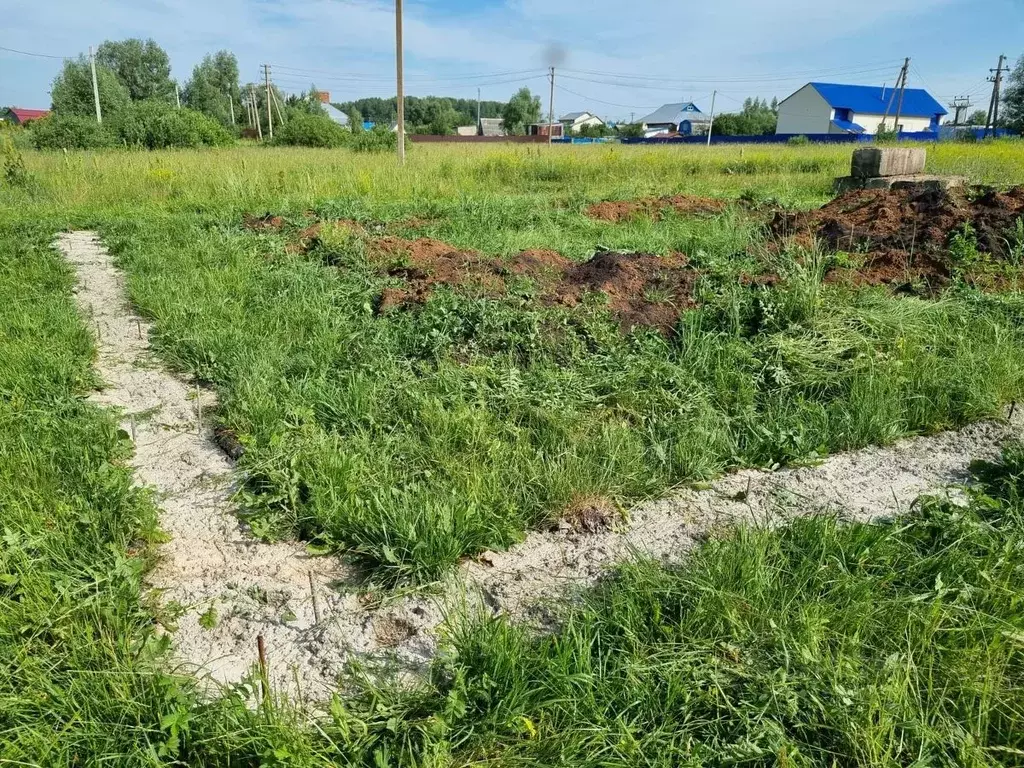 Участок в Башкортостан, Иглинский район, Чуваш-Кубовский сельсовет, с. ... - Фото 1