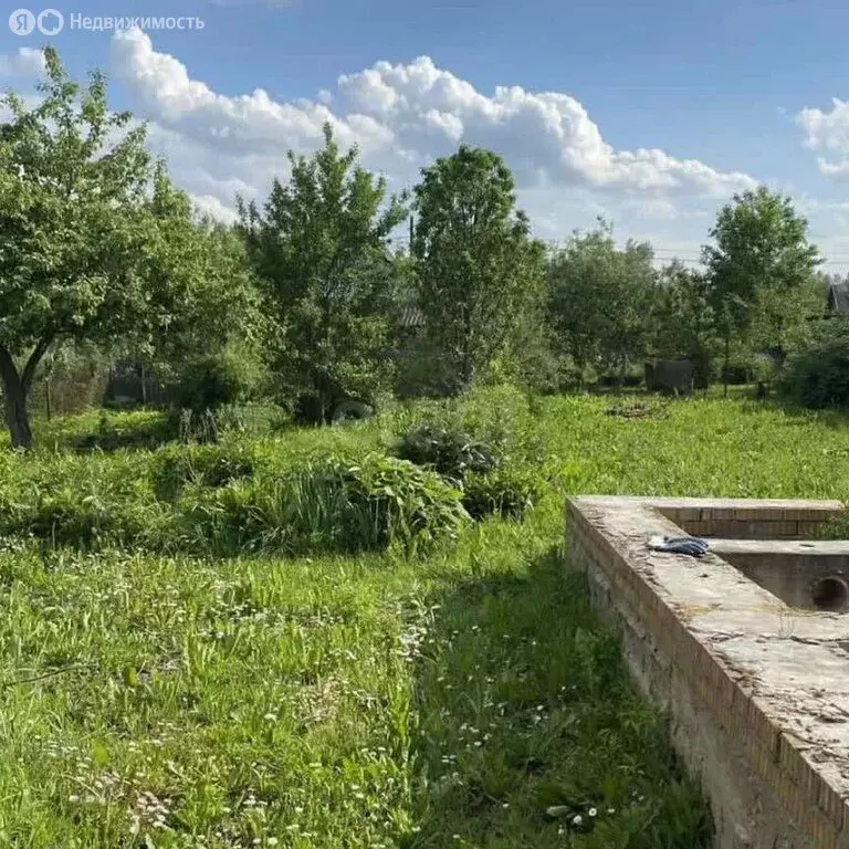 Участок в Ярославский муниципальный округ, деревня Попадьино, улица ... - Фото 2