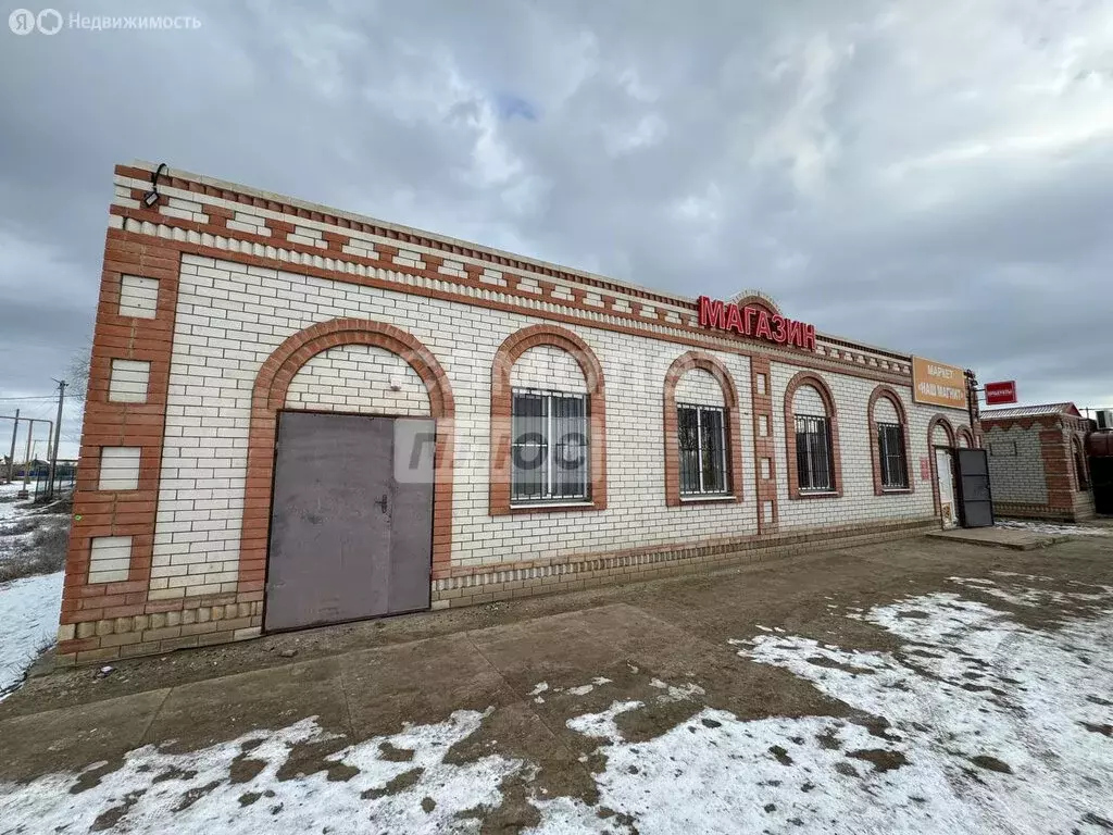 Помещение свободного назначения (261 м) - Фото 2