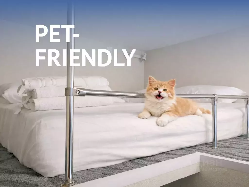 Студия Санкт-Петербург ул. Черняховского, 46а (15.0 м) - Фото 2