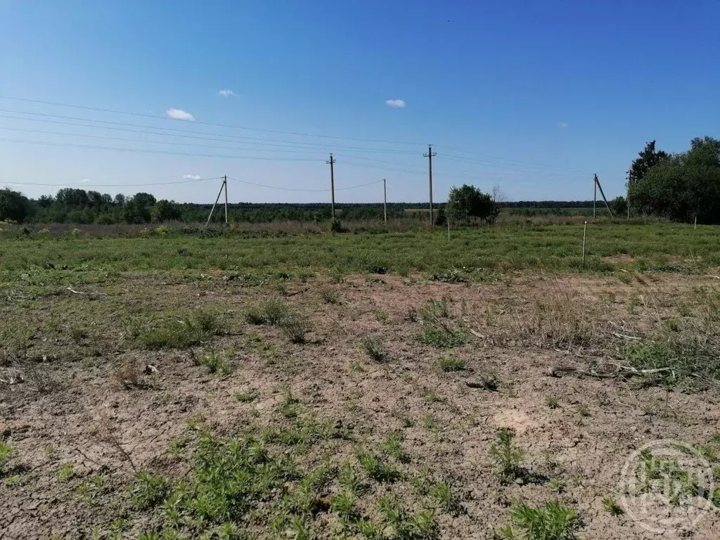 Участок в Ленинградская область, Лужский район, Заклинское с/пос, д. ... - Фото 1