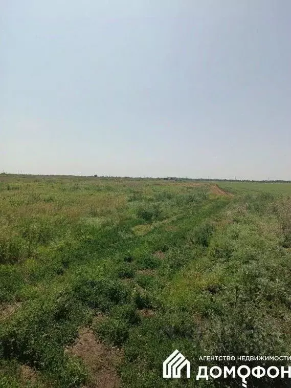 Участок в Омская область, Омский район, с. Дружино, Микрорайон ... - Фото 2