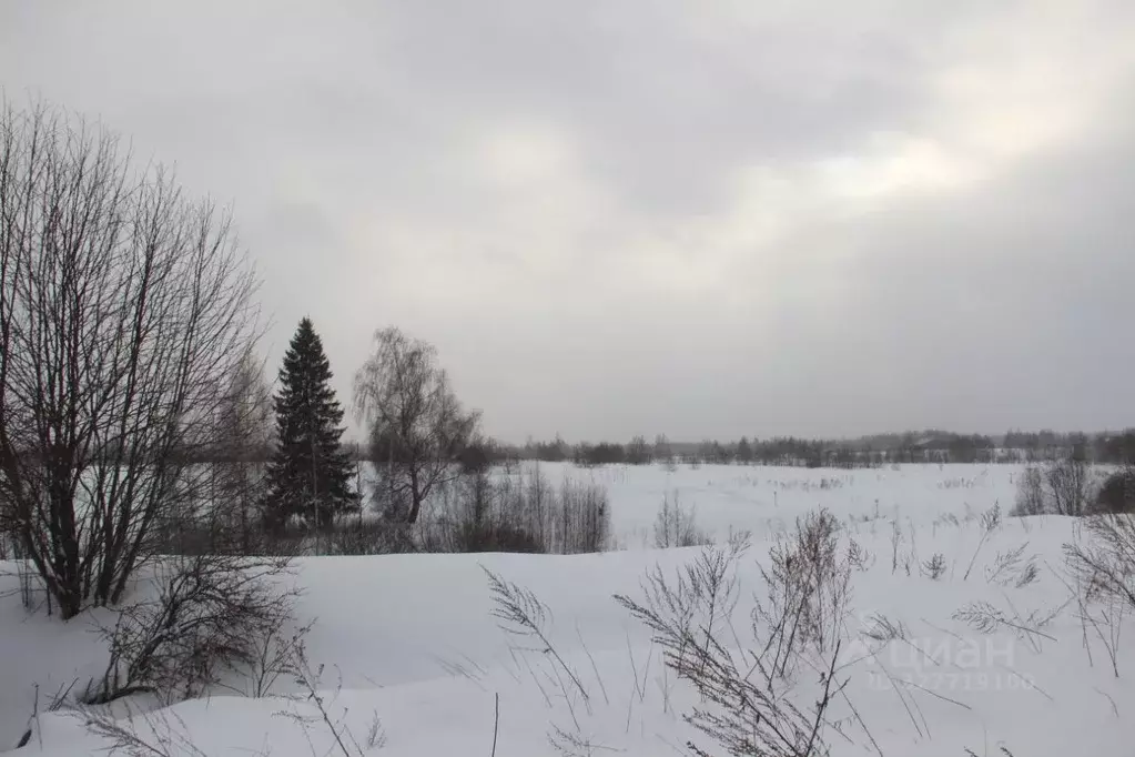 Участок в Московская область, Шаховская муниципальный округ, д. ... - Фото 1