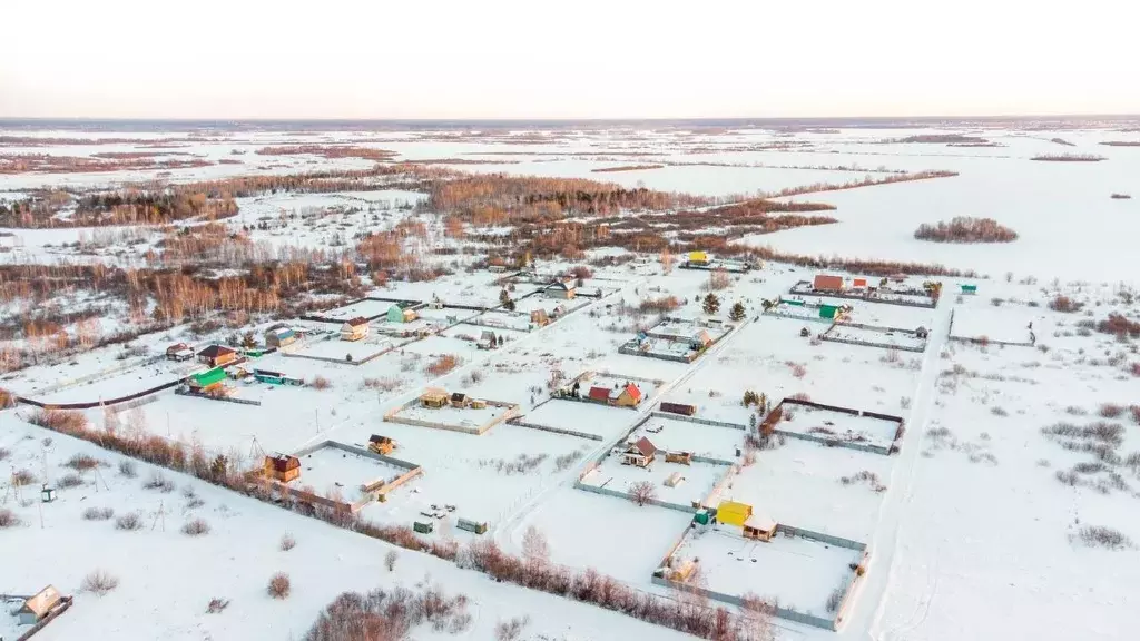 Участок в Тюменская область, Тюменский район, Горошинка-3 СНТ  (10.0 ... - Фото 1