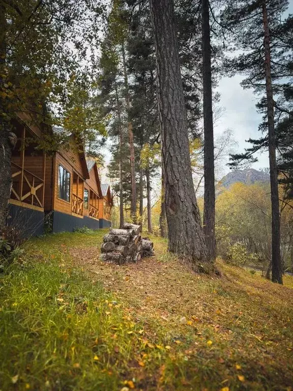 Дом в Карачаево-Черкесия, Зеленчукский район, с. Архыз  (48 м) - Фото 1