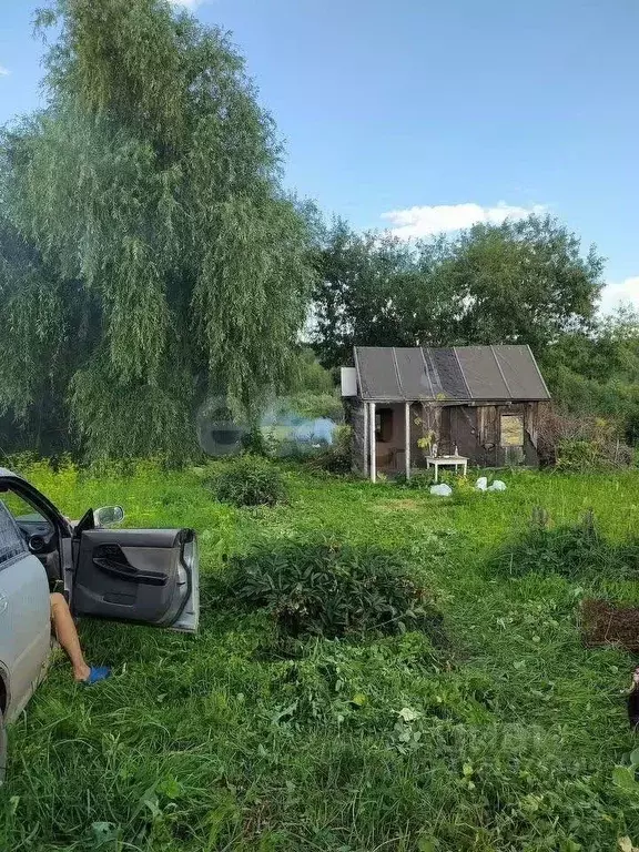 Участок в Новосибирская область, Новосибирск Маяк СНТ, ул. Прибрежная, ... - Фото 0