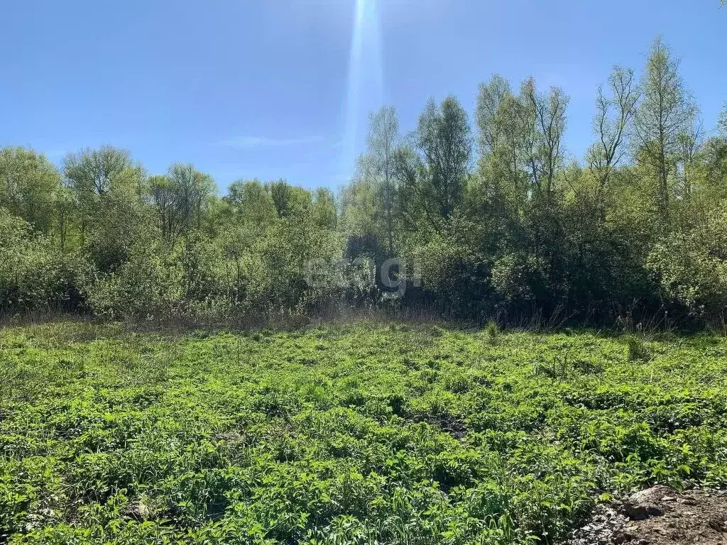 Участок в Свердловская область, Екатеринбург ВИЗ жилрайон,  (18.8 ... - Фото 1