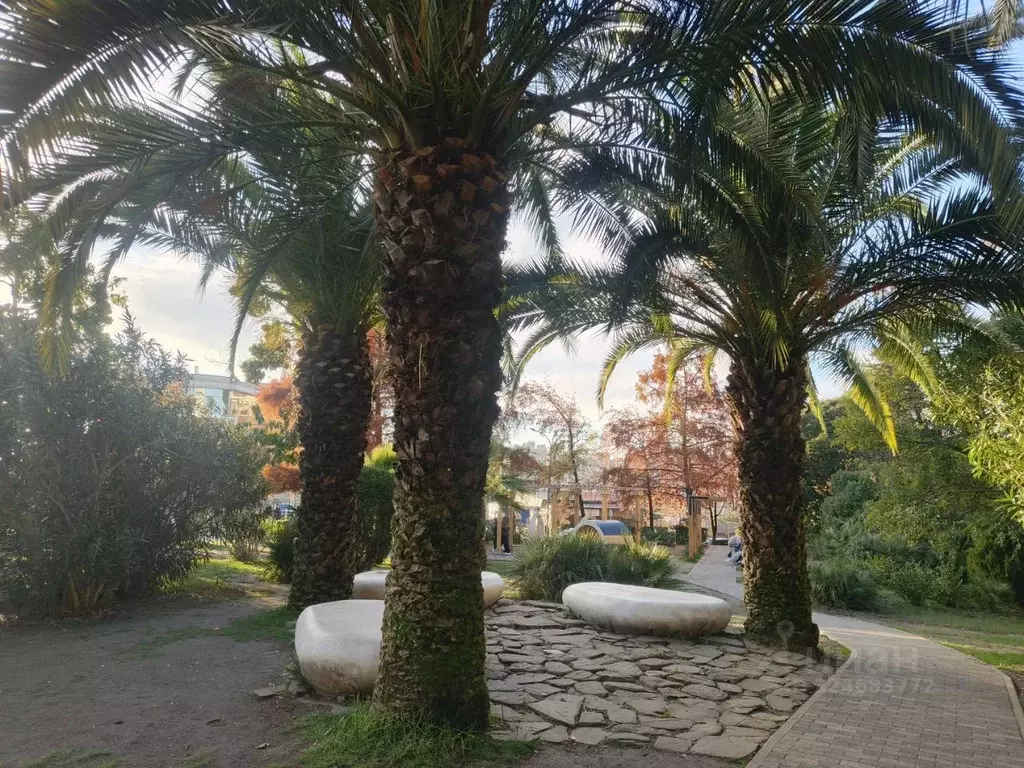 1-к кв. Краснодарский край, Сочи ул. Макаренко (33.0 м) - Фото 2