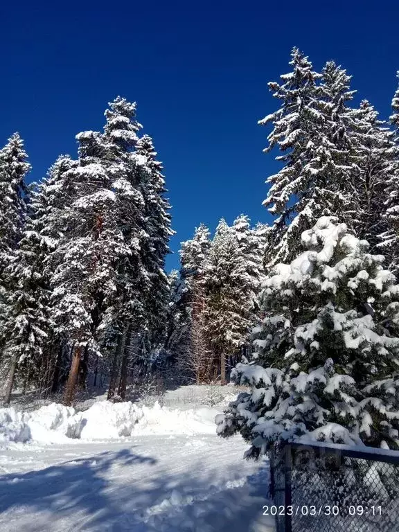 Дом в Карелия, Сортавала Гидрогородок мкр, 10 (60 м) - Фото 1