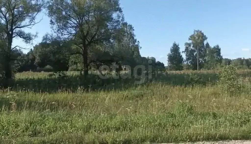 Участок в Калужская область, Мосальский муниципальный округ, Савино ... - Фото 2