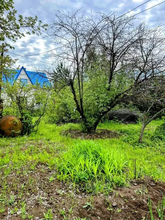 Участок в Саратовская область, Энгельсский район, Красноярское ... - Фото 0
