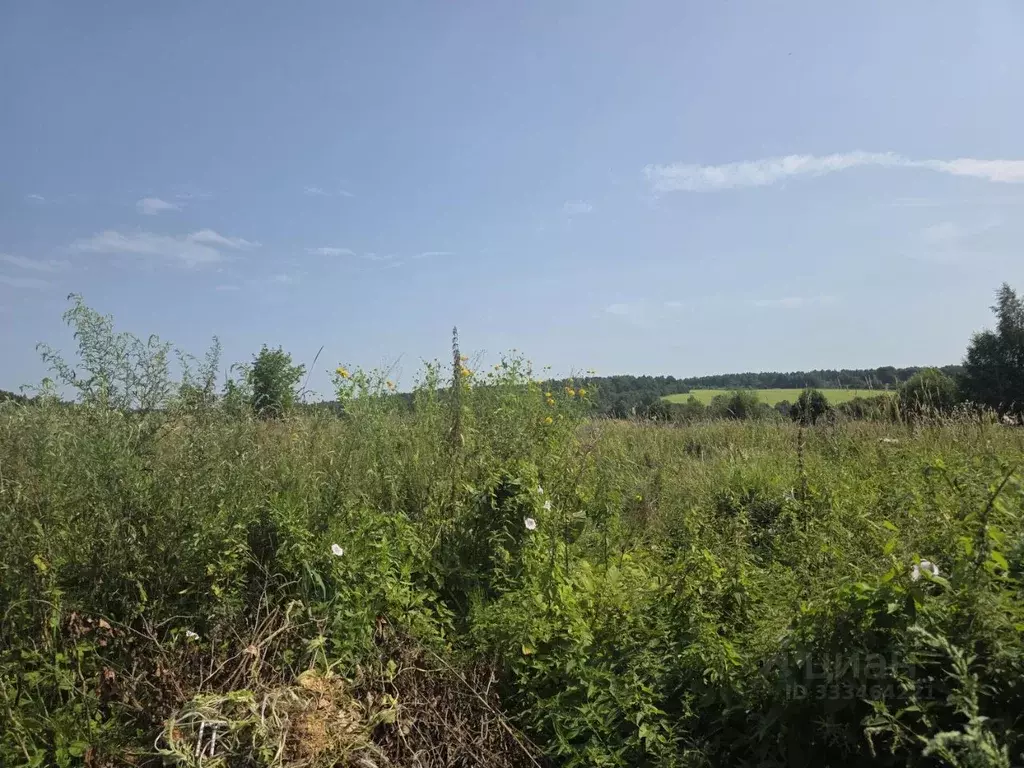 Участок в Московская область, Клин городской округ, д. Ковылино  ... - Фото 2