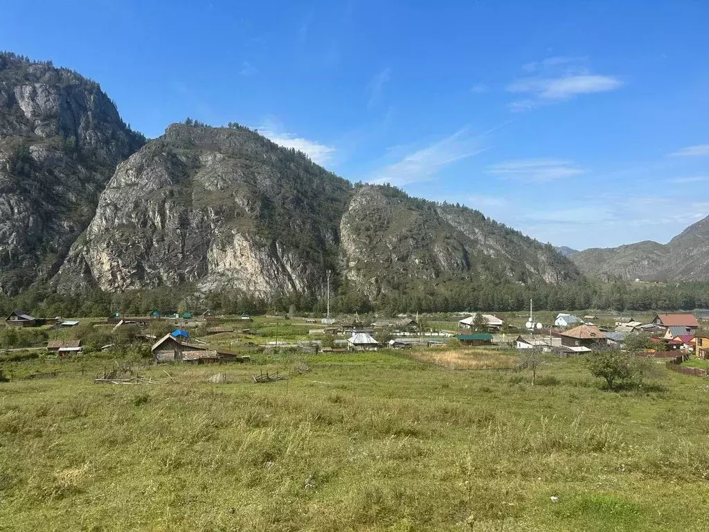 Участок в Алтай, Чемальский район, Чемальское с/пос  (11.51 сот.) - Фото 2