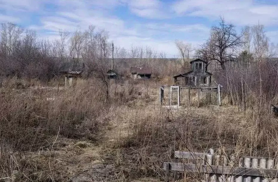 Участок в Ленинградская область, Лодейнопольский район, Янегское ... - Фото 1