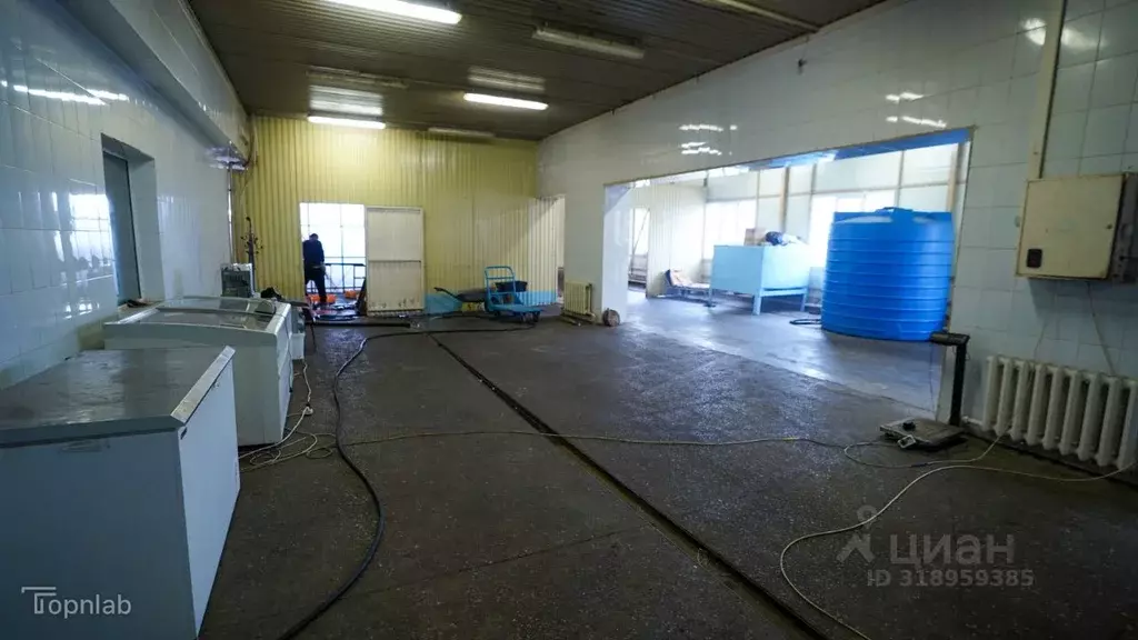 Помещение свободного назначения в Камчатский край, Елизовский район, ... - Фото 1