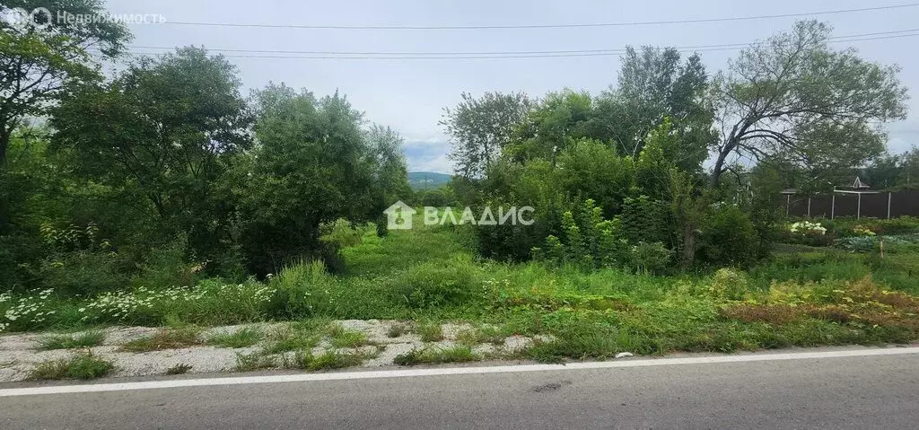 Участок в Уссурийский городской округ, село Долины, улица Баневура, 5 ... - Фото 2