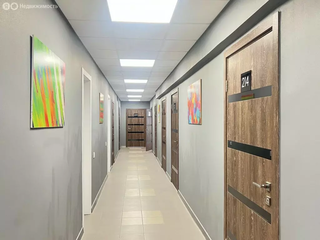 Помещение свободного назначения (35.5 м) - Фото 2