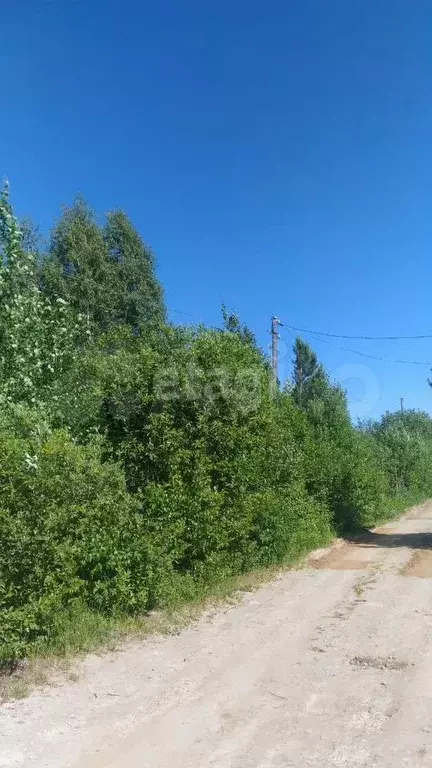 Участок 12 сот. (СНТ, ДНП) - Фото 1