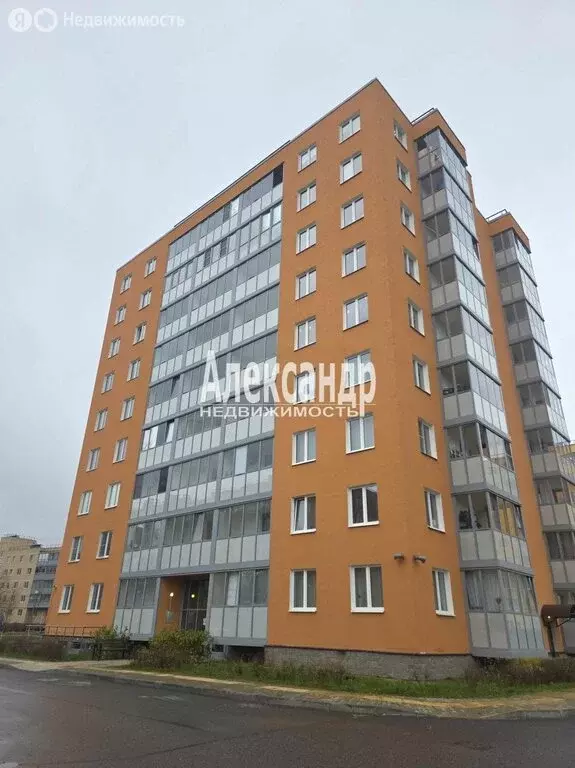 Квартира-студия: Коммунар, Ново-Антропшинская улица, 5 (22 м) - Фото 1