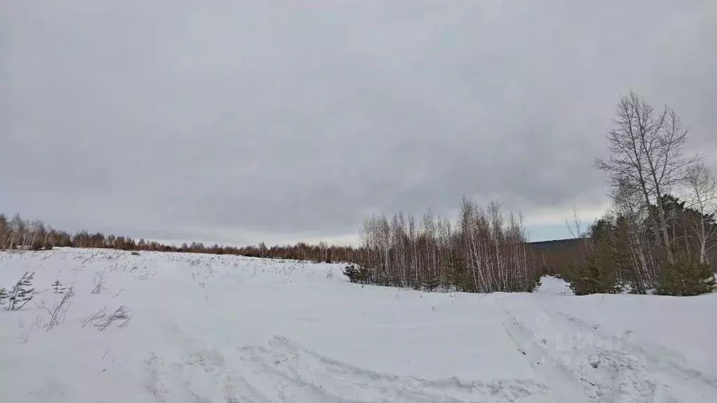 Участок в Иркутская область, Иркутский муниципальный округ  (2.0 сот.) - Фото 2