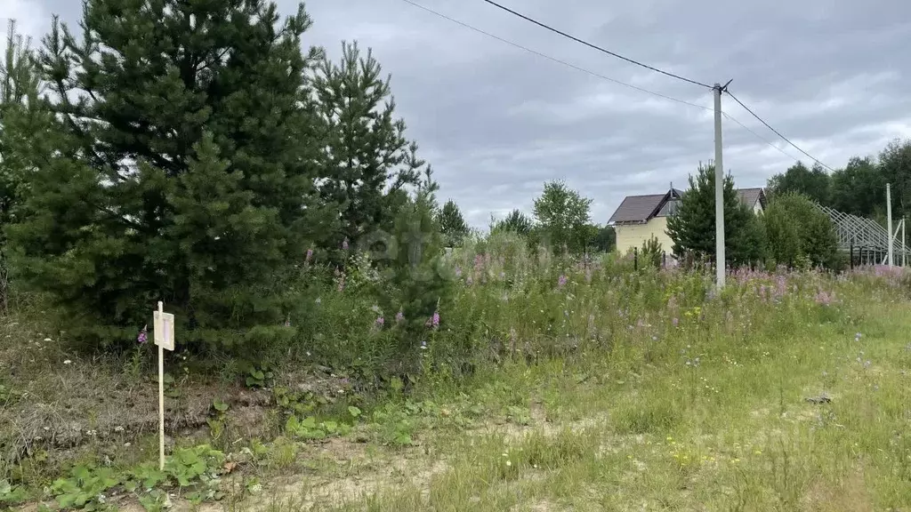 Участок в Тюменская область, Нижнетавдинский муниципальный округ, д. ... - Фото 1