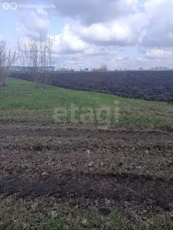 Участок в Белгородский район, городское поселение посёлок Разумное, ... - Фото 2